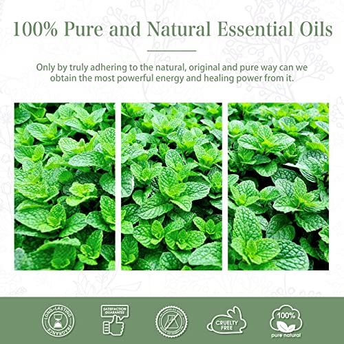 PHATOIL Spearmint Essential Oil 100ML, Pure Premium Grade Spearmint Essential Oils PHATOILUS supplements