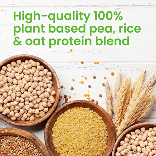 VPlab Vegan Protein Powder 500g - 16 Servings, 100% Plant Based and Natural Vegan Protein Shake vplab nutritionAu supplements