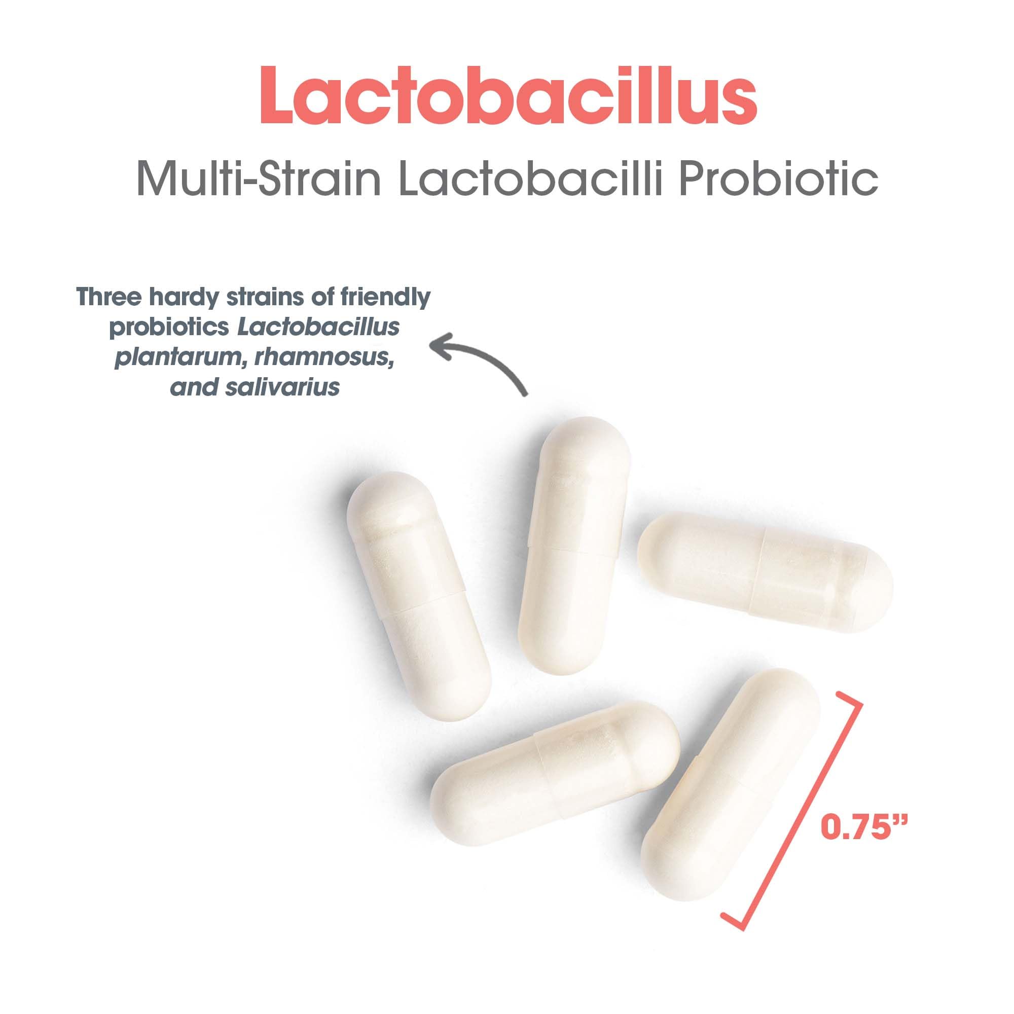 Allergy Research Group Lactobacillus Supplement - Probiotics for Men & Women, Digestive Health, Gut Health, Vegetarian Capsules - 100 Count Allergy Research GroupAu supplements