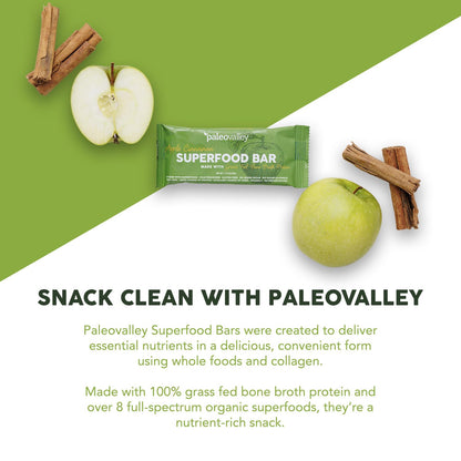 Paleovalley Superfood Bars – Apple Cinnamon– 10 Pack – 9g Protein per Bar – Gluten-Free, Grain-Free, Paleo, Non-GMO – On-the-Go Snack PaleovalleyUS supplements