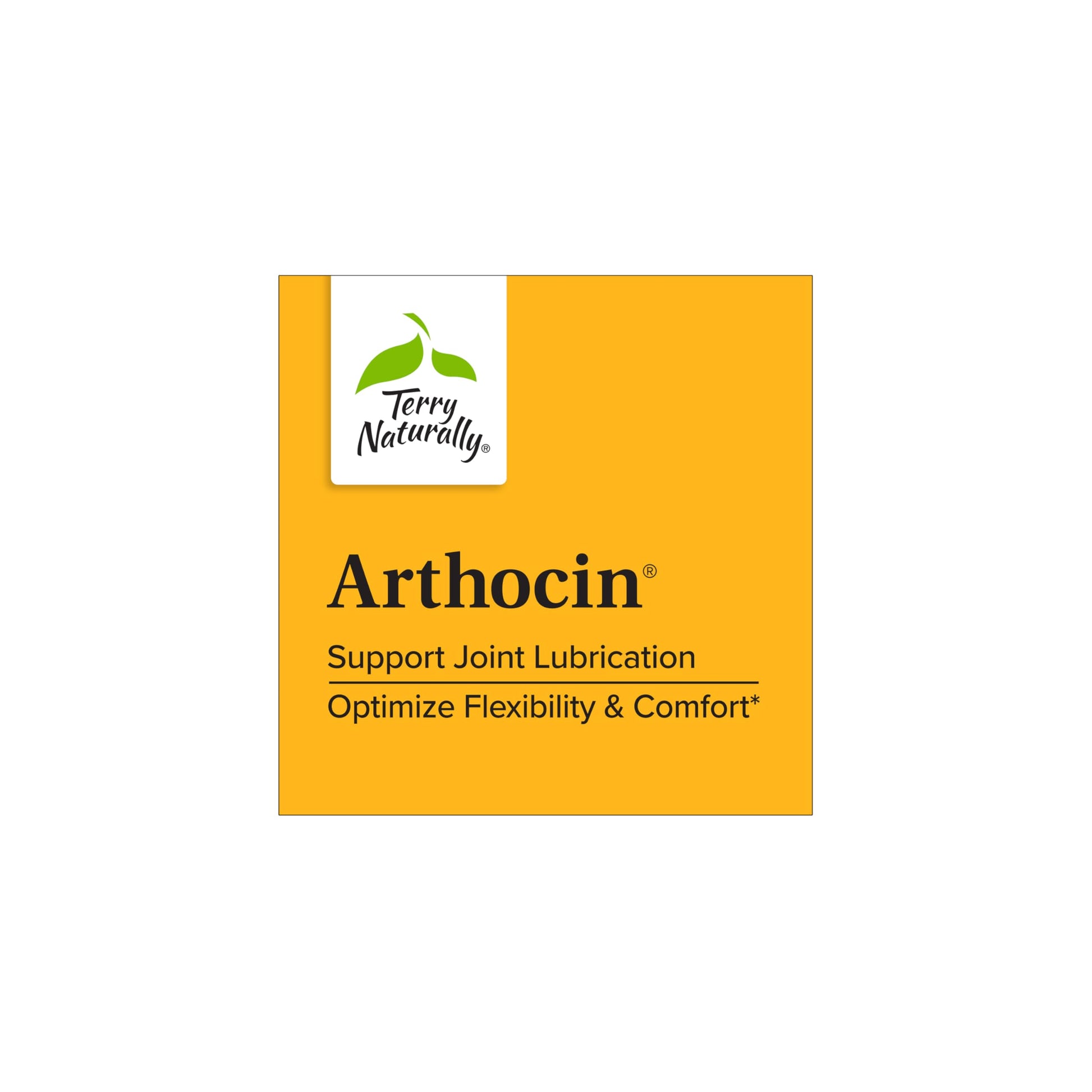 Terry Naturally Arthocin - Boswellia Serrata Capsules with Devil's Claw & Curcumin - Supplement to Support Joint & Spine Health - Herbal Supplement Aids Comfort & Absorption - 60 Capsules Terry NaturallyAu supplements