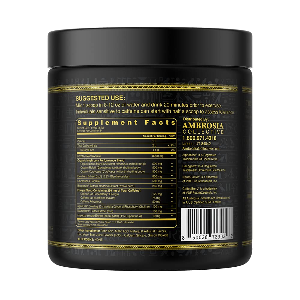 Ambrosia Kinetic Organic Preworkout, Mushroom Enhanced Natural Pre Workout Supplement AmbrosiaUS supplements