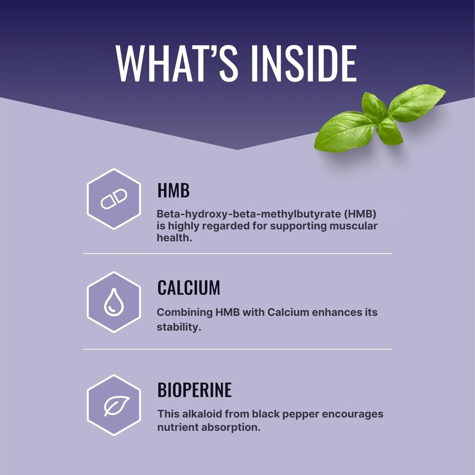 Approved Science HMB - 1500mg High Potency HMB Supplement with Calcium & BioPerine for Absorption - Muscle Health & Exercise Performance - 60 Vegan Capsules - Pack of 3 Approved ScienceAu supplements