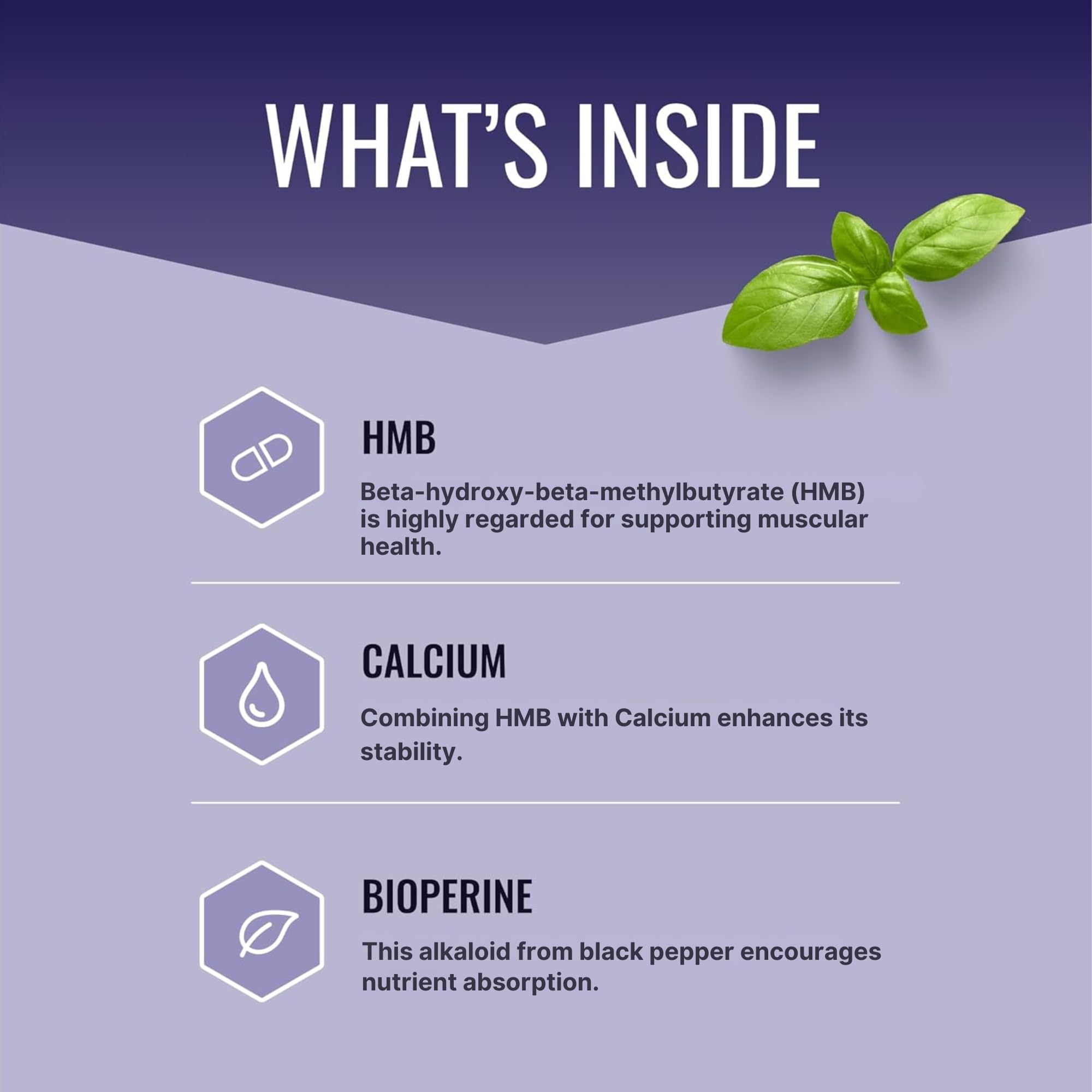 Approved Science HMB - 1500mg High Potency HMB Supplement with Calcium & BioPerine for Absorption - Muscle Health & Exercise Performance - 60 Vegan Capsules - Pack of 3 Approved ScienceAu supplements