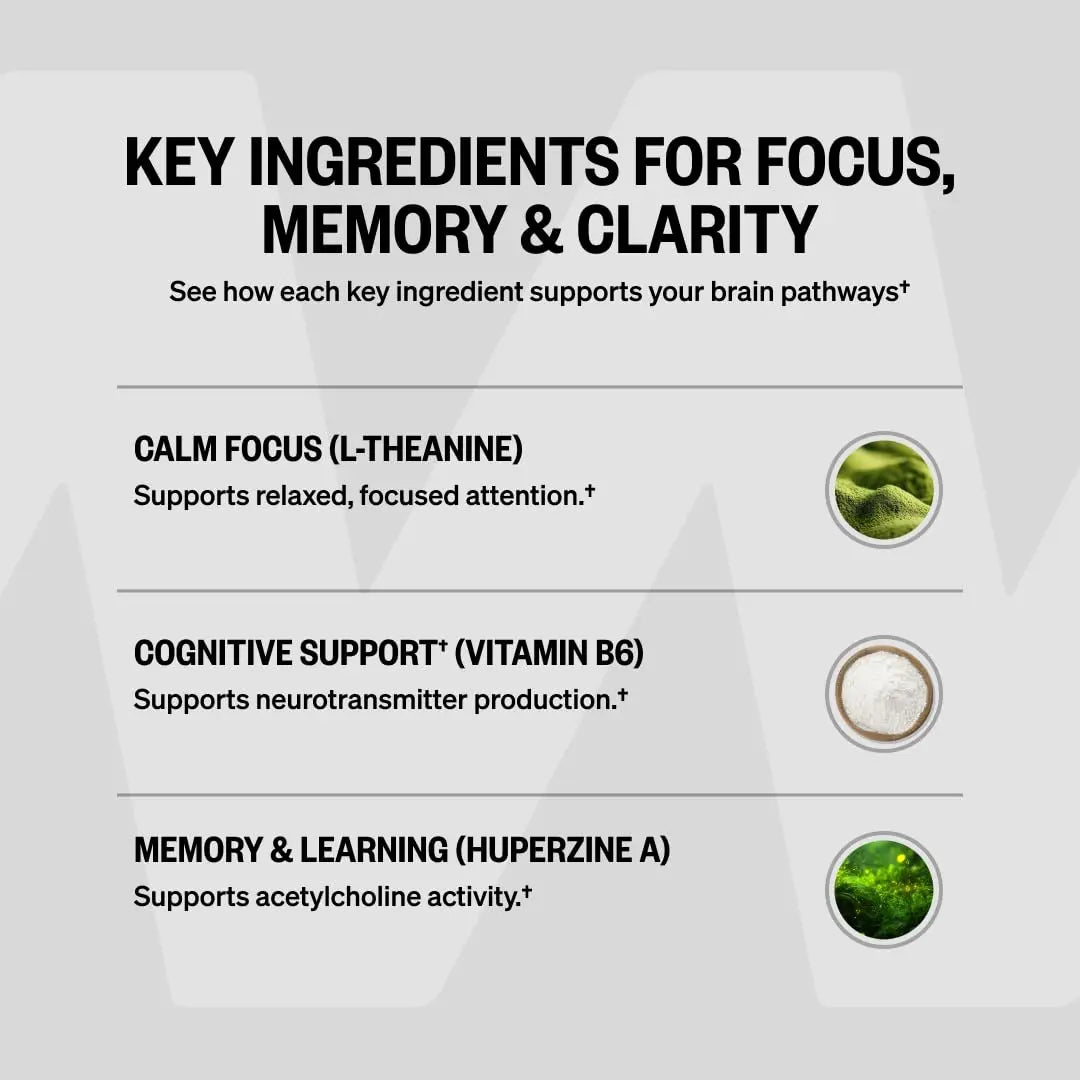 ONNIT Alpha Brain Nootropic Brain Supplement for Focus, Memory, Mental Clarity, Cognitive Support with L-Theanine and Vitamin B6, 90 Count ONNITnz supplements