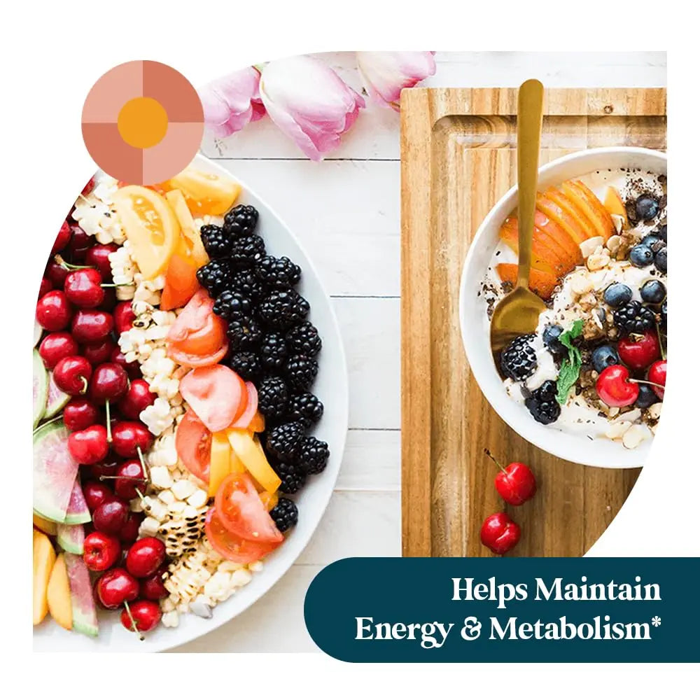 Pattern Wellness Multivitamin for Men & Women – Vitamin A, B, C, D, E – Supports Energy & Wellness – Whole Body Health Pattern WellnessAu supplements