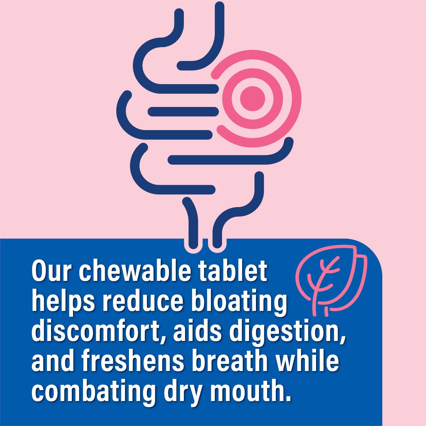 Probiotiv Chewable Probiotics for Daily Bloating w/ 5 Billion CFU – “Two-in-One Combo” ProbiotivAu supplements