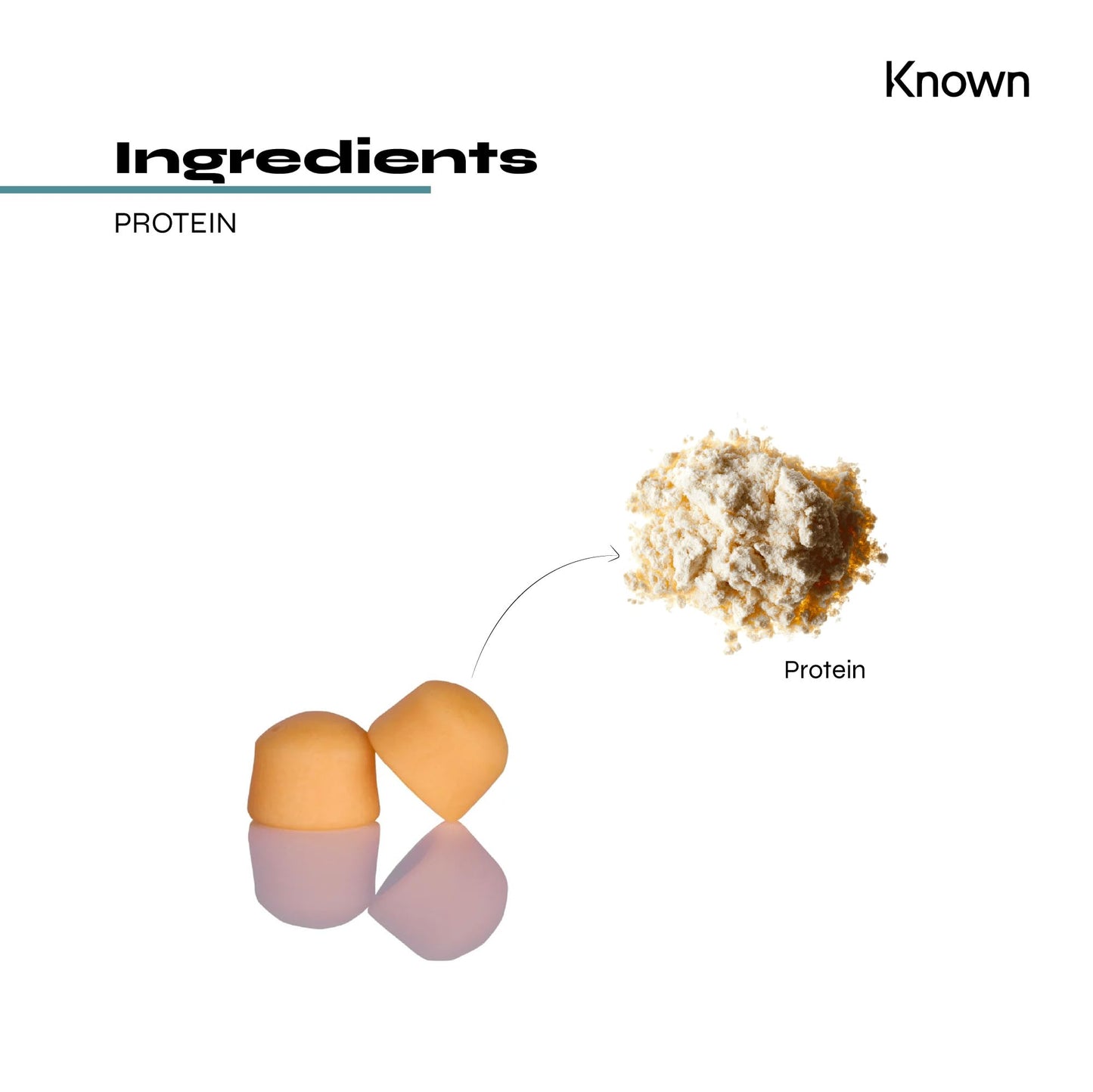 Protein 11g Gummies by Known Nutrition | Help Build and Maintain Healthy Muscle Mass KnownUS supplements