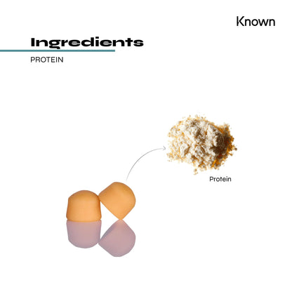 Protein 11g Gummies by Known Nutrition | Help Build and Maintain Healthy Muscle Mass KnownUS supplements