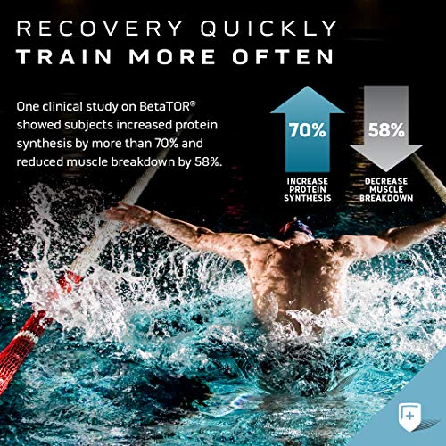 Muscle Recovery, MuscleTech Clear Muscle Post Workout Recovery, Muscle Builder MuscleTechUS supplements