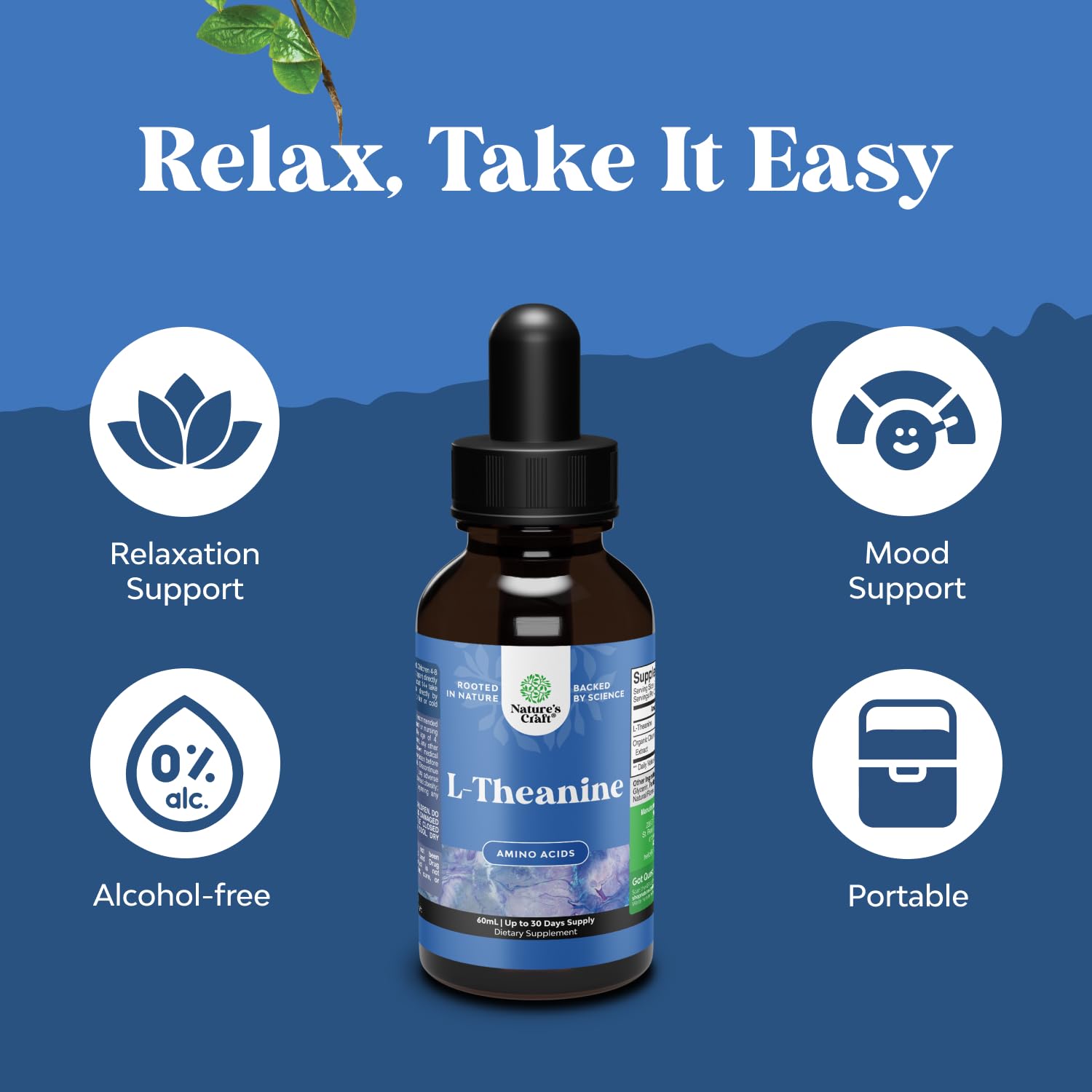 High Absorption L-Theanine Liquid Drops - Nootropic Focus Supplement with L Theanine 200mg Per Serving and Chamomile Extract Supplement for Adults and Kids Relaxation and Focus - 2 Fl Oz Natures CraftAu supplements