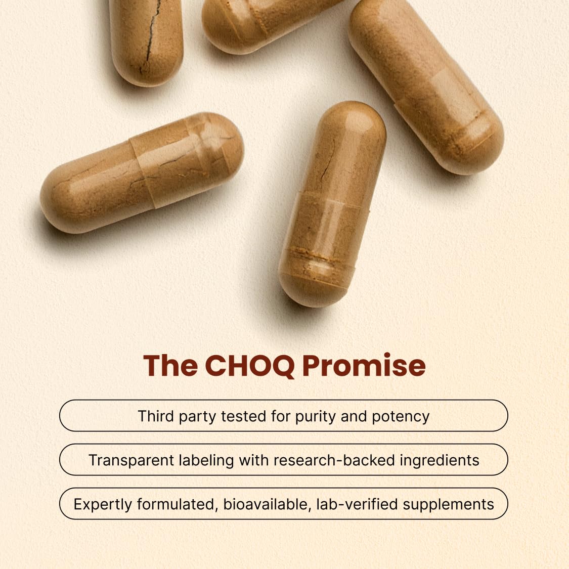 CHOQ Daily with 500mg PrimaVie Shilajit, Safed Musli, Tribulus - Natural Energy, Libido & Muscle Support - Daily Supplement for Men, 60 Vegan Capsules CHOQAu supplements