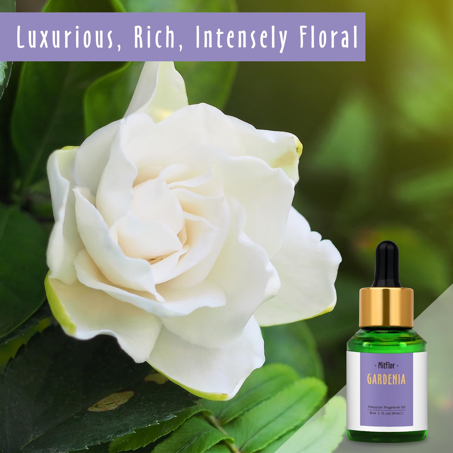 Gardenia Fragrance Oil, MitFlor Single Scented Oil, Large Size Premium Grade Fragrance Oil MitFlorAu supplements
