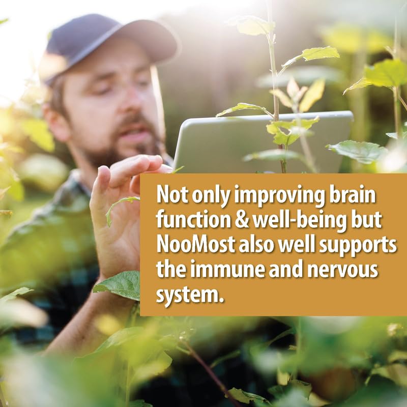 NooMost Organic Lions Mane Supplement Capsules 5400mg, Ginkgo Biloba 120mg NooMostUS supplements