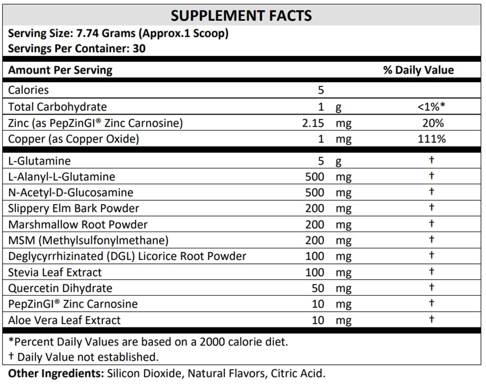 TERRA ORIGIN Healthy Gut Powder (Honey Lemon) | 30-Servings with L-Glutamine TERRA ORIGINUS supplements