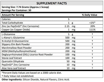 TERRA ORIGIN Healthy Gut Powder (Honey Lemon) | 30-Servings with L-Glutamine TERRA ORIGINUS supplements