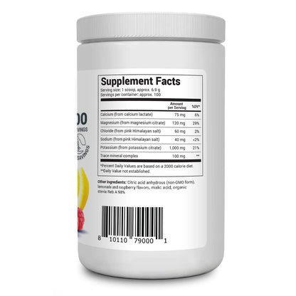 Dr. Berg's Electrolyte Powder 100 Servings Bundle - Raspberry Lemon & Lemonade Dr. Berg NutritionalsUS supplements