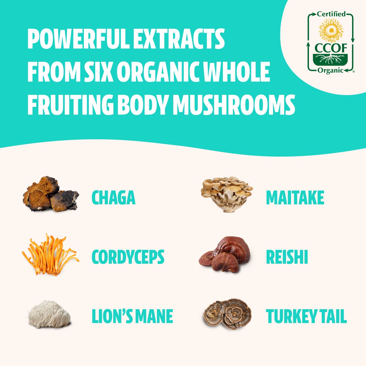 FreshCap Ultimate Mushroom Complex - Lions Mane, Reishi, Cordyceps, Chaga, Turkey Tail FreshCap MushroomsUS supplements