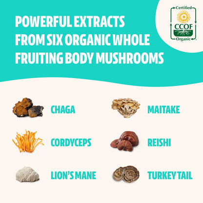 FreshCap Ultimate Mushroom Complex - Lions Mane, Reishi, Cordyceps, Chaga, Turkey Tail FreshCap MushroomsUS supplements