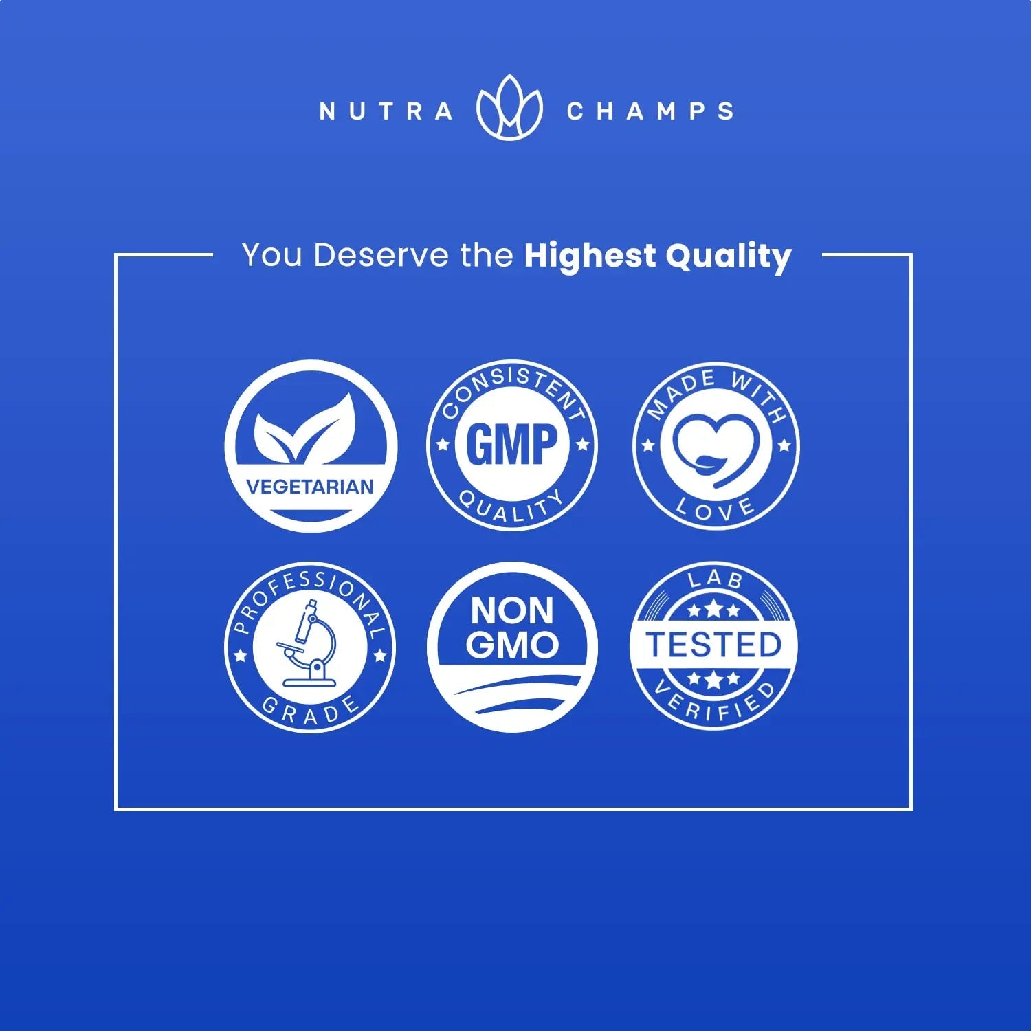 NutraChamps Multivitamin for Men, 240 Count, Vitamins A, B, C, D, E, Biotin, Zinc, Mens Gummy Multivitamins Supplement NutraChampsAu supplements