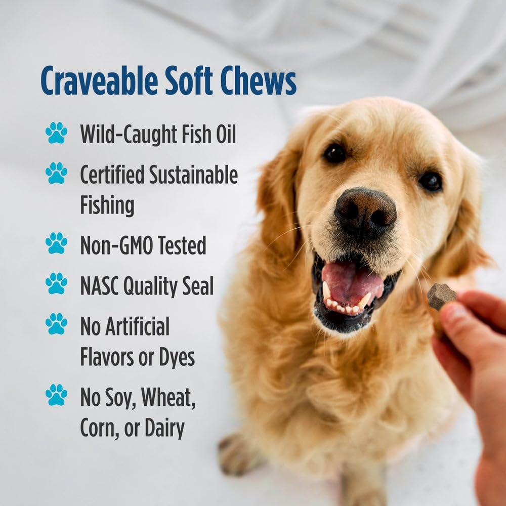Nordic Naturals Pet Joint Support + Omega 3 Soft Chews for Dogs, Pork Bone Broth Flavored - Promotes Mobility, Hip and Joint Support with Omega-3 Fish Oil, MSM, EPA & DHA - 30 Non-GMO Chews Nordic NaturalsAu supplements