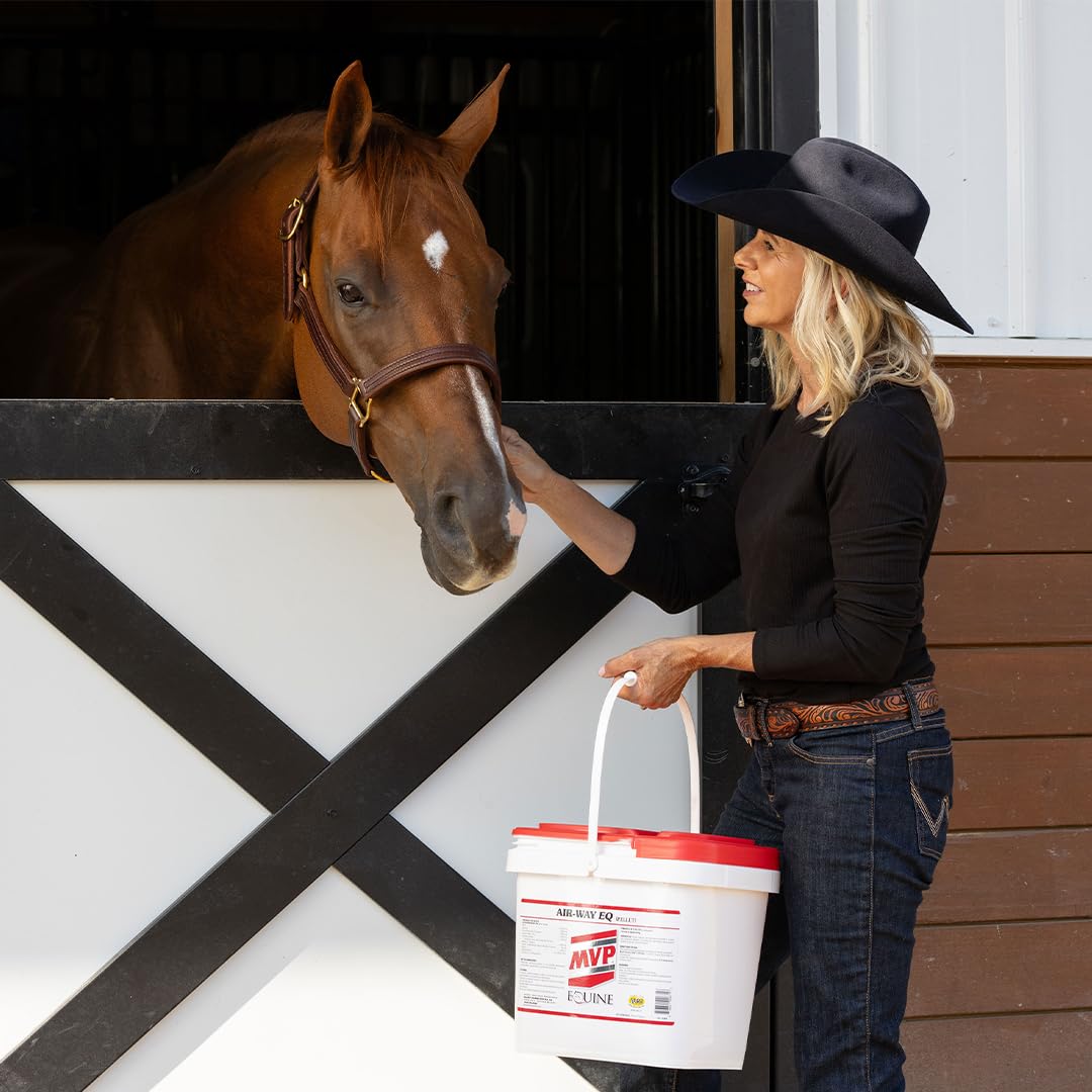 MVP Air-Way EQ Supports Healthy Lung Function and Seasonal Allergy Support in Horses, 5lb - 40 Servings MVPAu supplements