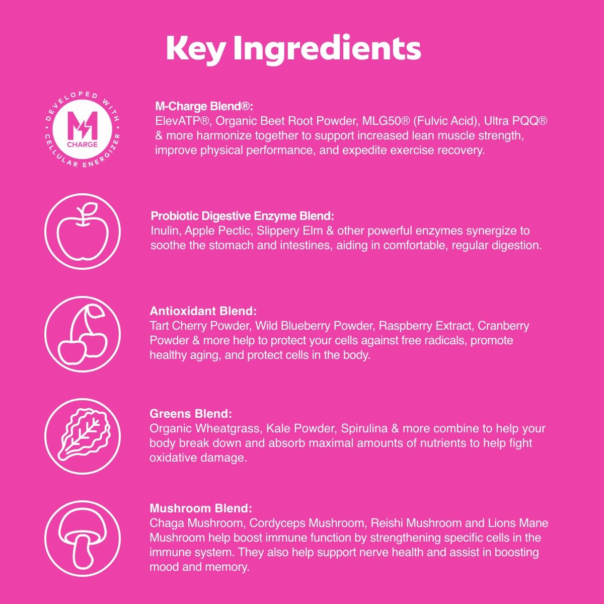 L'Evate You Vitality Daily Greens Powder (28 Servings) 30 Superfoods, 9 Greens - for a Cellular Energy Boost, Powered by M-Charge Complex for All Day Energy (Tart Cherry) Steve Harvey's L'Evate YouAu supplements