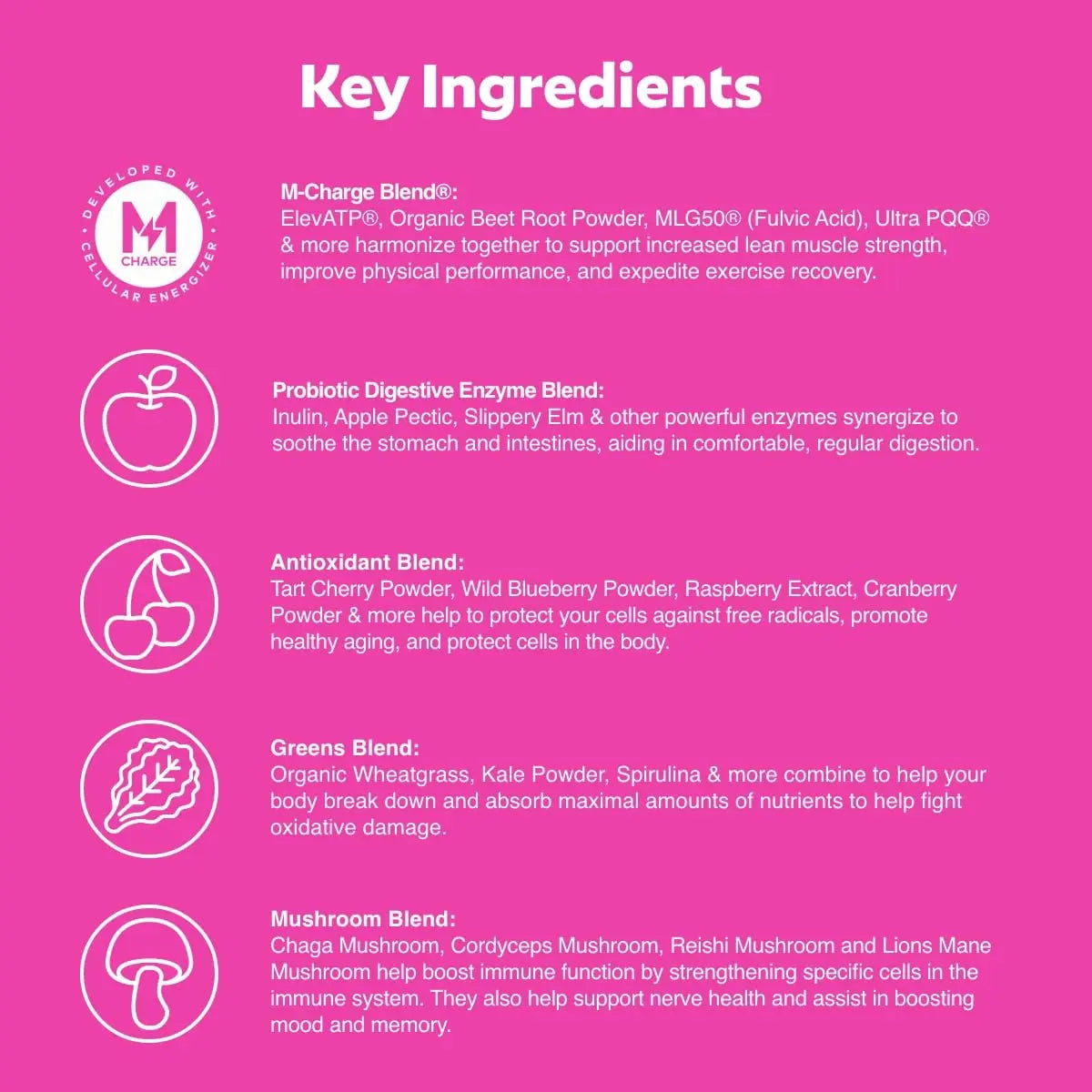L'Evate You Vitality Daily Greens Powder (28 Servings) 30 Superfoods, 9 Greens - for a Cellular Energy Boost, Powered by M-Charge Complex for All Day Energy (Tart Cherry) Steve Harvey's L'Evate YouAu supplements