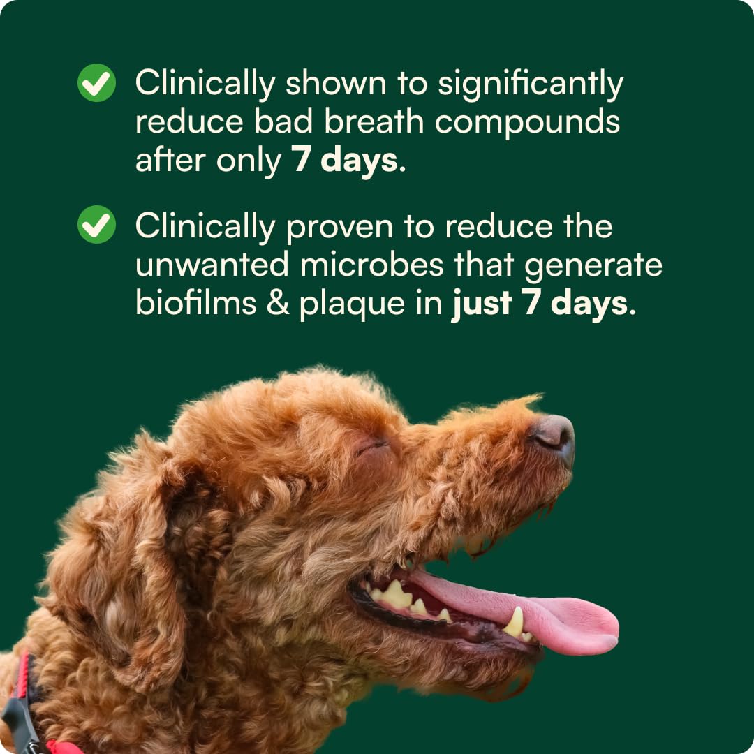 Reggie Dental Powder for Dogs | Reduce Bad Breath in 7 Days, Plaque & Tartar Control | Natural Dog Dental Supplement | Postbiotic Formula with Organic Kelp | Vet-Approved & Made in USA | 60 Servings ReggieAu supplements