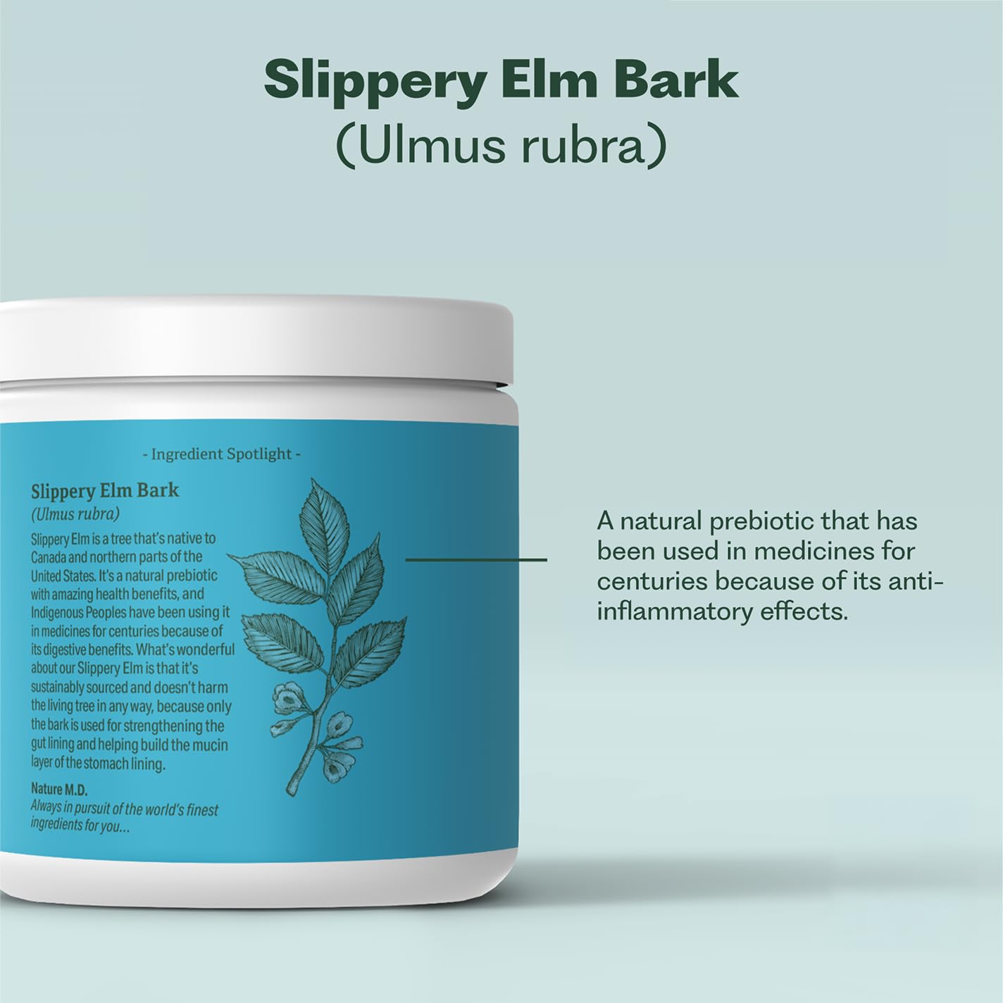 GutConnect 365 Gut Health Superfood Powder | Formulated With Slippery Elm Bark & L Glutamine | Vegan Certified | Allergen Free | Non-GMO | Soy Free | Made in the USA | 30 Servings – Vanilla Cinnamon Nature M.D.Au supplements