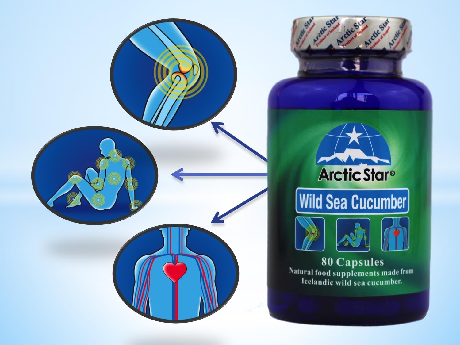 Arctic Star - Sea Cucumber Capsules - Natural Pure Iceland Atlantic Wild Caught Sea Cucumber Extract Supplement Pills - Joint Health t & Immune Health 400mg 80 Capsules/Bottle Arctic StarAu supplements