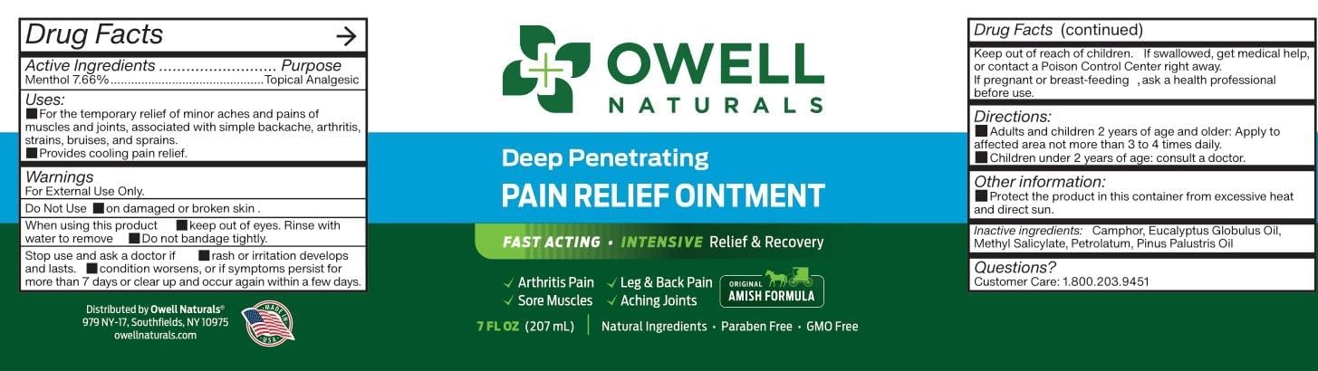 OWELL NATURALS Arthritis Pain Relief Ointment with Arnica & MSM – Deep Penetrating Joint & Muscle Therapy for Knee, Back, Sore Muscles, Legs, 3.5 oz (2 Pack) Owell NaturalsAu supplements