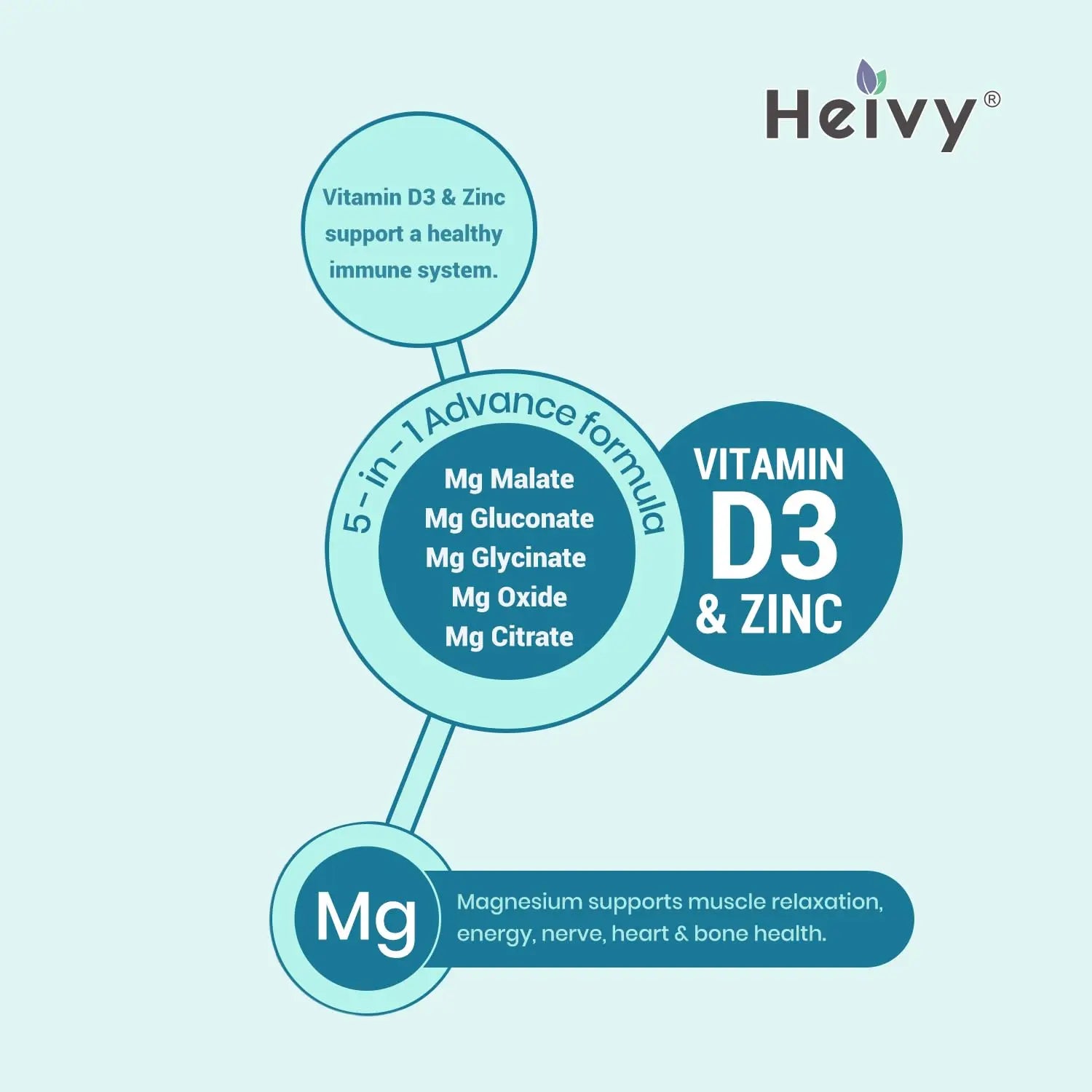 Heivy Magnesium Complex, Magnesium Glycinate, Citrate, Malate, Oxide, Gluconate with Zinc and Vitamin D3, Magnesium Supplement for Muscle, Nerve, Heart, Bone Support, High Absorption, 90 Tablets Heivynz supplements
