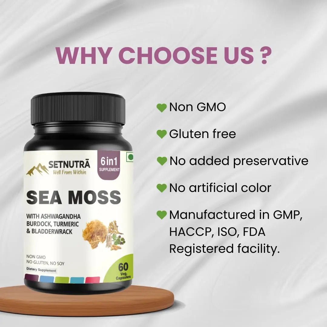 SETNUTRA Well From Within Sea Moss 6 in 1 Super Blend Ashwagandha Burdock Turmeric & Bladderwrack Immunity & Detox Support 60 Veg Capsules Non GMO No Gluten SETNUTRA Well From Withinnz supplements