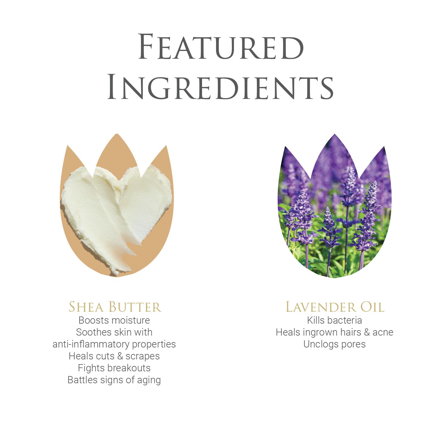byDr.Poucher Fabulous Foam Wash for Women - pH Balanced Feminine Wash - Gentle, Natural Vulva byDr.PoucherAu supplements