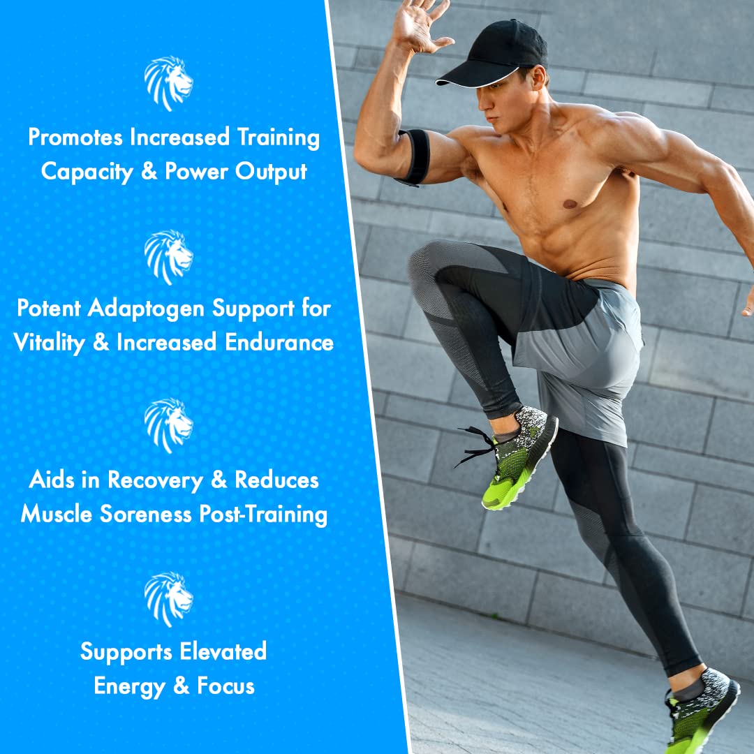 Alpha Lion Superhuman Sport Pre Workout Powder, Preworkout for Men & Women ALPHA LIONAu supplements