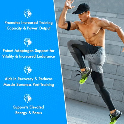 Alpha Lion Superhuman Sport Pre Workout Powder, Preworkout for Men & Women ALPHA LIONUS supplements