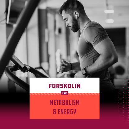 Pure Forskolin Extract - Fat Burning & Metabolism Boosting Weight Loss Supplement Natures CraftUS supplements