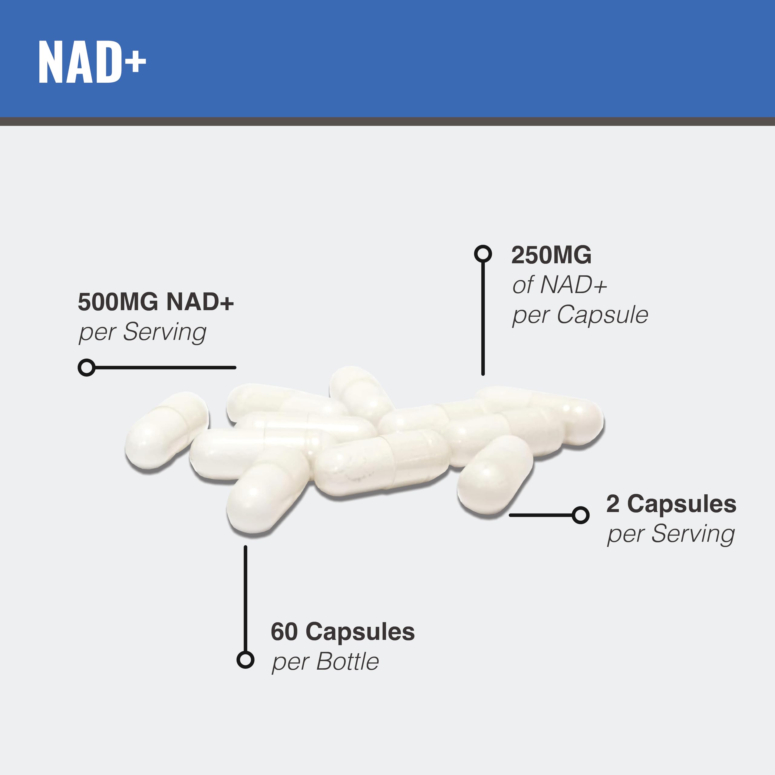MAAC10 Liposomal NAD Supplement 500mg Serving (2x250mg Capsules) Actual Nicotinamide Adenine Dinucleotide MAAC10Au supplements