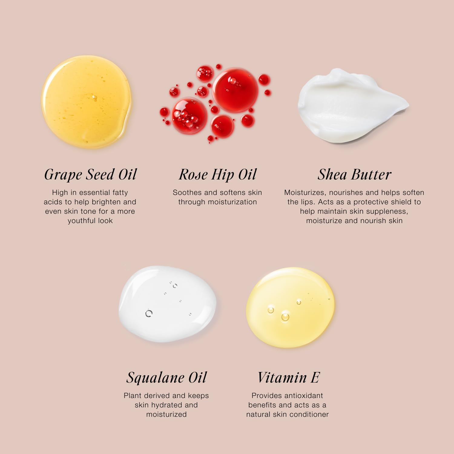 Jouer Blush & Bloom Cheek + Lip Duo - Hydrating Cream Blush Stick for Lip and Cheek Tint - Moisturizing Rose Hip and Squalane Oil Formula, Celebrate JouerAu supplements