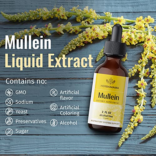 Mullein Leaf Tincture - Lung Cleanse - Vegan Lung Detox - Respiratory Health HERBAMAMAAu supplements