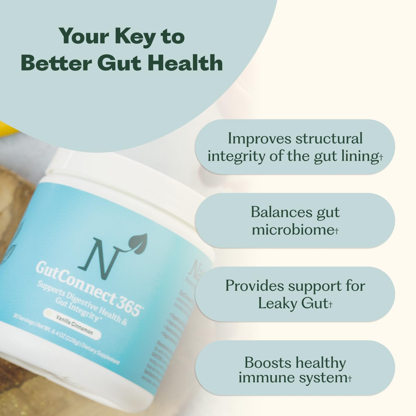 GutConnect 365 Gut Health Superfood Powder | Formulated With Slippery Elm Bark & L Glutamine | Vegan Certified | Allergen Free | Non-GMO | Soy Free | Made in the USA | 30 Servings – Vanilla Cinnamon Nature M.D.Au supplements