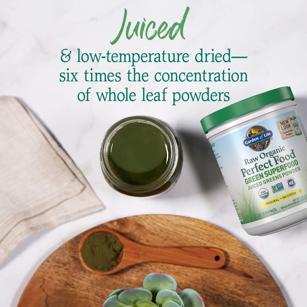 Garden of Life Raw Organic Perfect Food Alkalizer & Detoxifier Juiced Greens Superfood Garden of LifeUS supplements