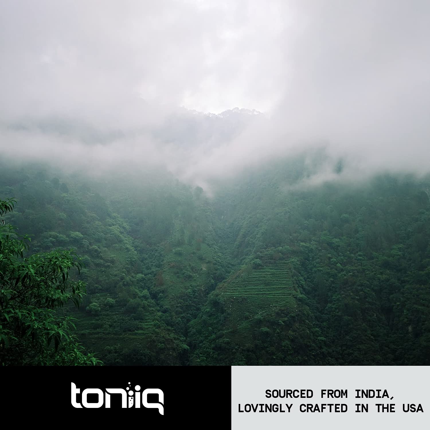Toniiq Valerian Root Capsules - Ultra High Potency 4:1 Extract - Highly Concentrated - Third-Party Lab Tested - 120 Capsules ToniiqAu supplements