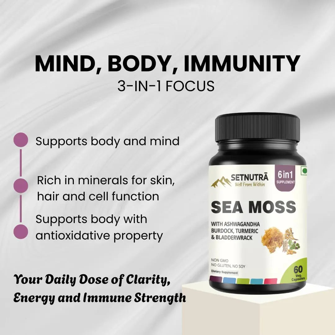 SETNUTRA Well From Within Sea Moss 6 in 1 Super Blend Ashwagandha Burdock Turmeric & Bladderwrack Immunity & Detox Support 60 Veg Capsules Non GMO No Gluten SETNUTRA Well From Withinnz supplements