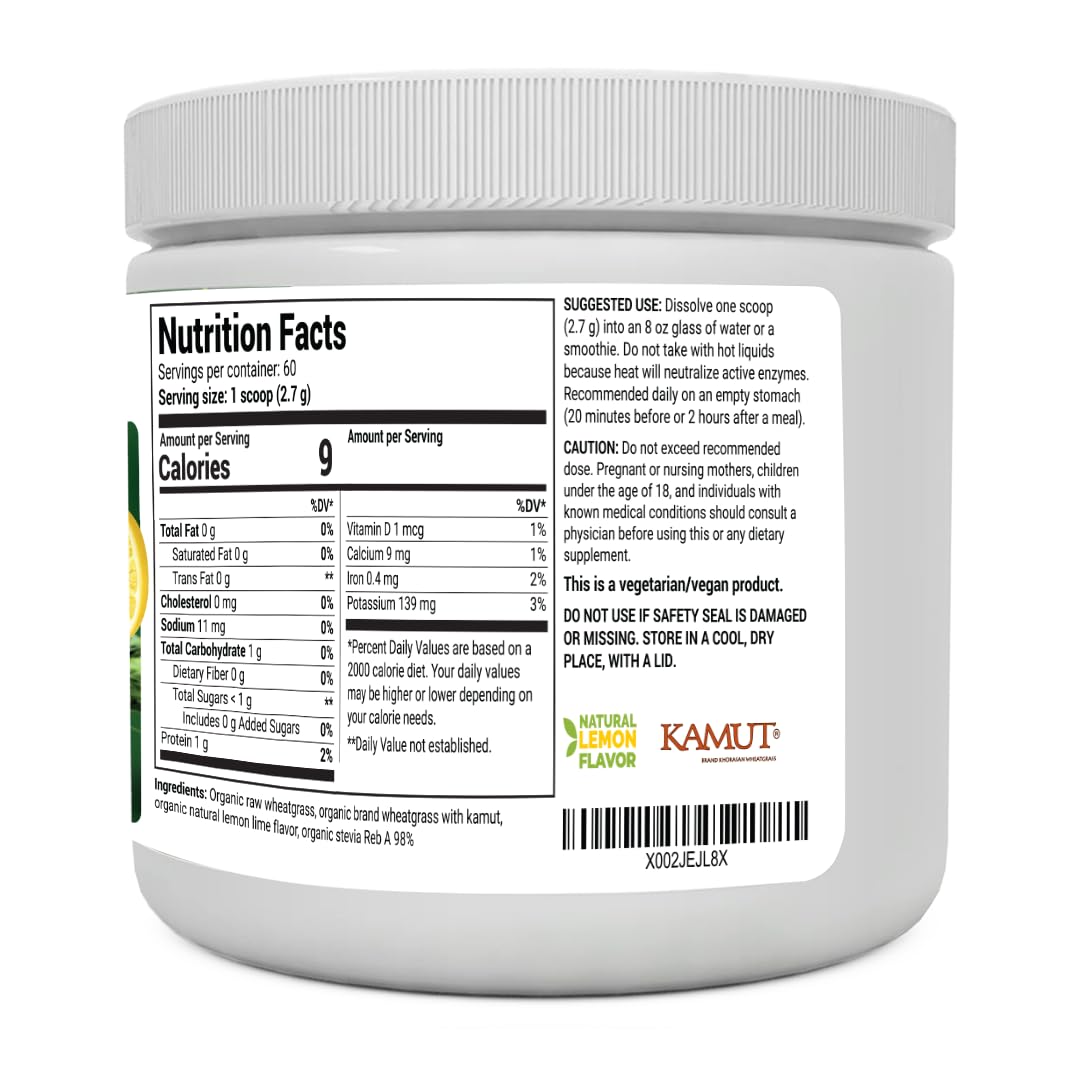 Dr. Berg's Raw Wheatgrass Juice Powder (60 Servings) - USDA Certified Organic Dr. Berg NutritionalsUS supplements