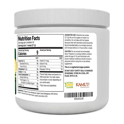 Dr. Berg's Raw Wheatgrass Juice Powder (60 Servings) - USDA Certified Organic Dr. Berg NutritionalsUS supplements