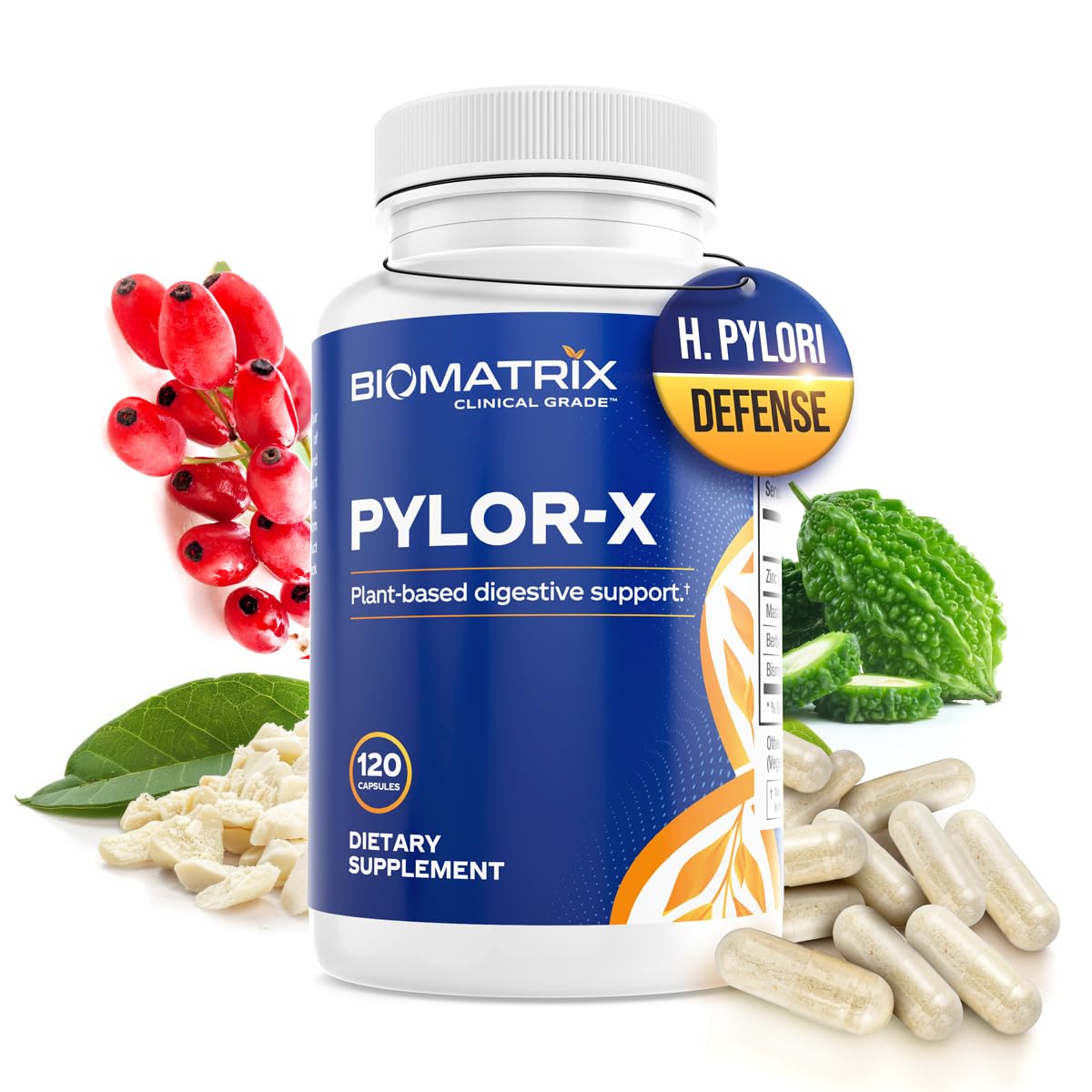 BioMatrix Pylor-X Gut Health Supplement – Mastic Gum, Berberine, Zinc Carnosine & Bismuth Salts for Gastric Support, Digestive Comfort, Stomach Lining Protection - (120 Capsules) 30-60 Day Supply BioMatrixAu supplements