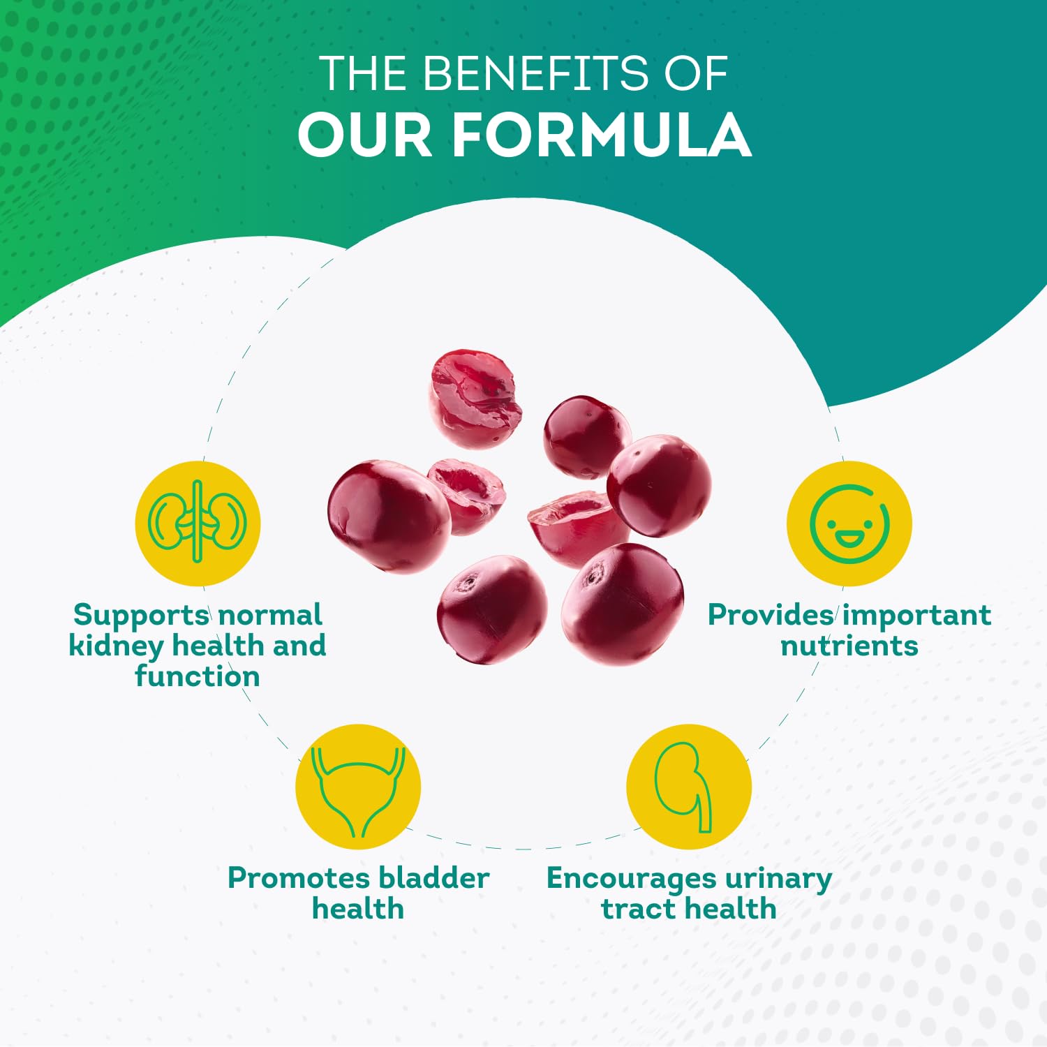PurePremium Kidney Support Supplement for Men and Women - with Cranberry Extract PurePremium SupplementsAu supplements