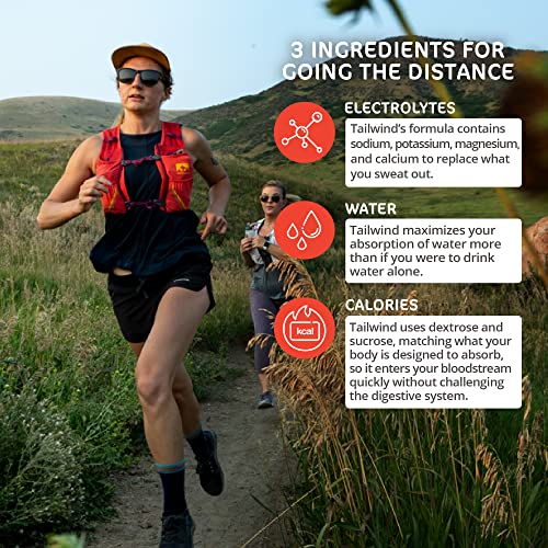 Tailwind Nutrition Endurance Fuel, Caffeine Drink Mix with Electrolytes TailwindUS supplements